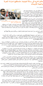 エルバラダイ帰国を巡る国内外の反応