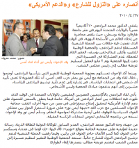 エルバラダイ支持者間の相違、在米支持者との対話